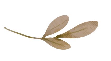 Feuille décorative